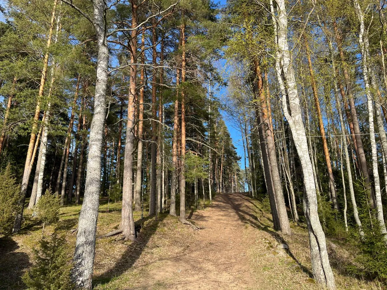 Тропа к озеру